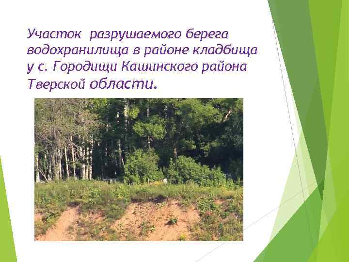 Участок разрушаемого берега водохранилища в районе кладбища у с. Городищи Кашинского района Тверской области.