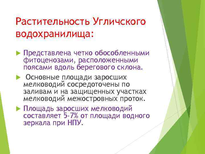 Растительность Угличского водохранилища: Представлена четко обособленными фитоценозами, расположенными поясами вдоль берегового склона. Основные площади