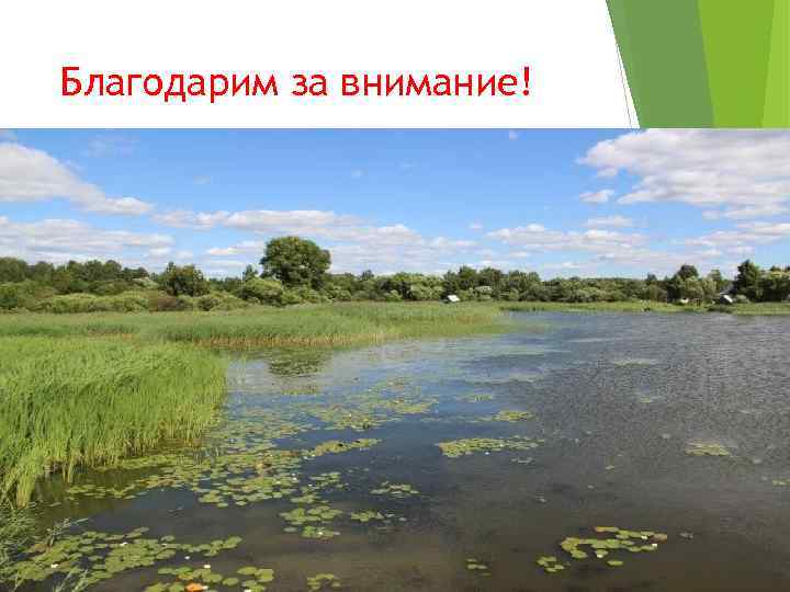 Благодарим за внимание! 