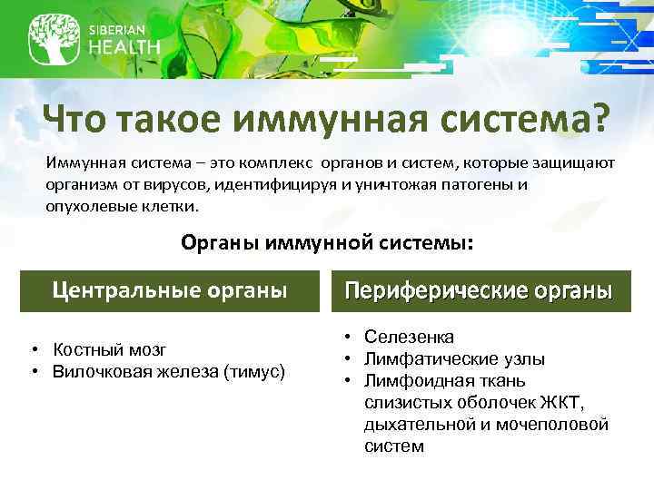 Что такое иммунная система? Иммунная система – это комплекс органов и систем, которые защищают