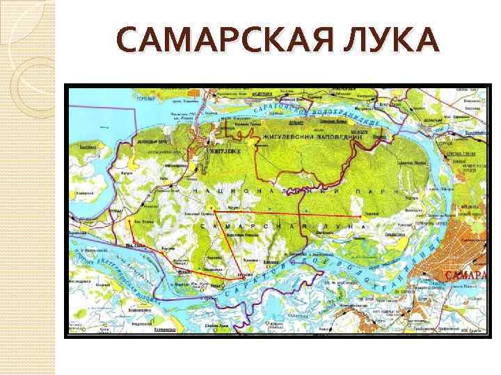 САМАРСКАЯ ЛУКА 