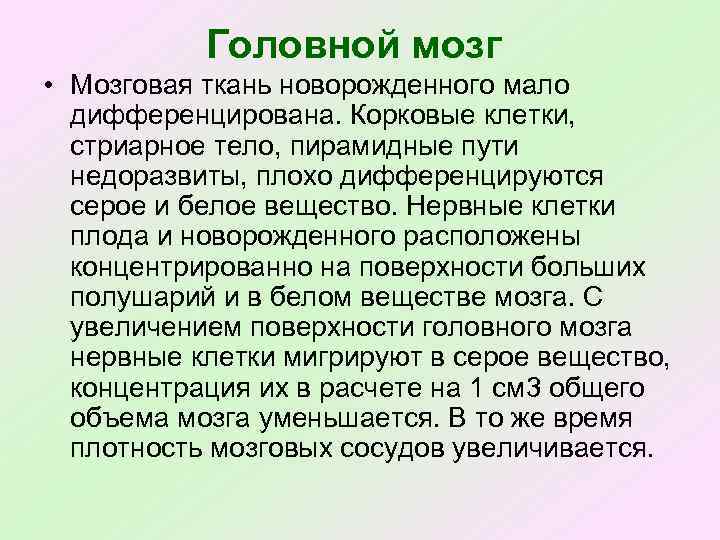 Головной мозг • Мозговая ткань новорожденного мало дифференцирована. Корковые клетки, стриарное тело, пирамидные пути