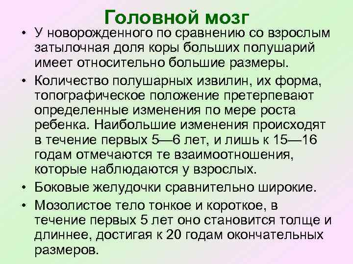 Головной мозг • У новорожденного по сравнению со взрослым затылочная доля коры больших полушарий
