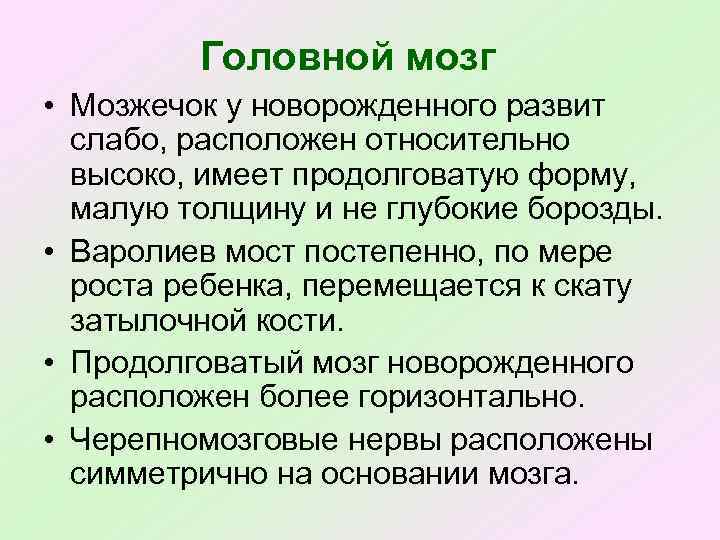 Головной мозг • Мозжечок у новорожденного развит слабо, расположен относительно высоко, имеет продолговатую форму,