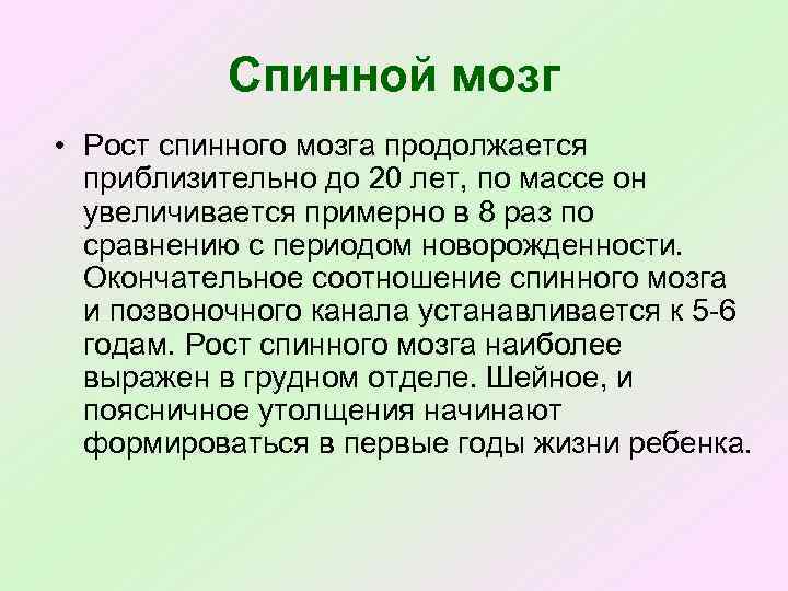 Спинной мозг • Рост спинного мозга продолжается приблизительно до 20 лет, по массе он