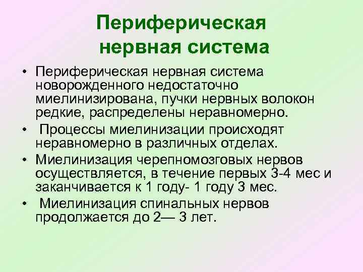 Периферическая нервная система • Периферическая нервная система новорожденного недостаточно миелинизирована, пучки нервных волокон редкие,
