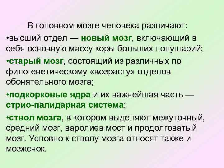 В головном мозге человека различают: • высший отдел — новый мозг, включающий в себя