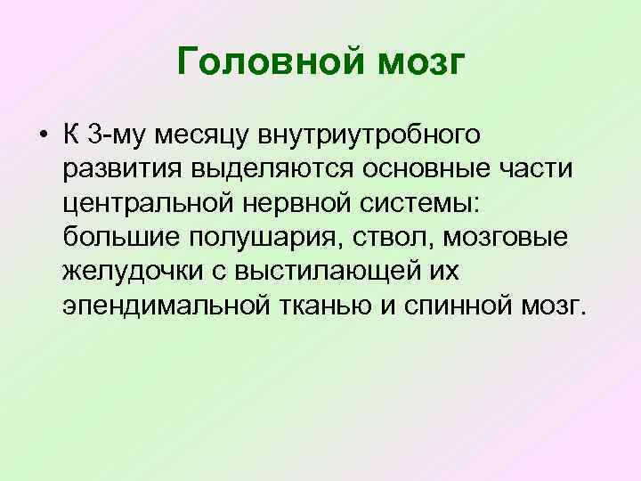 Головной мозг • К 3 му месяцу внутриутробного развития выделяются основные части центральной нервной