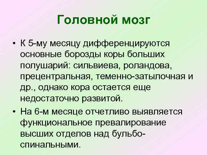 Головной мозг • К 5 му месяцу дифференцируются основные борозды коры больших полушарий: сильвиева,