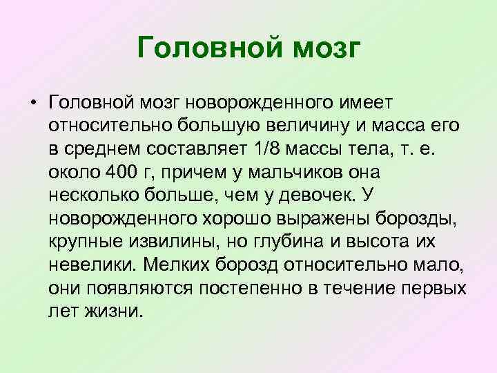 Головной мозг • Головной мозг новорожденного имеет относительно большую величину и масса его в
