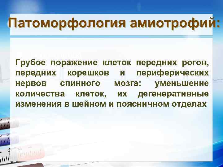 Патоморфология амиотрофий: • Текст слайда Грубое поражение клеток передних рогов, передних корешков и периферических