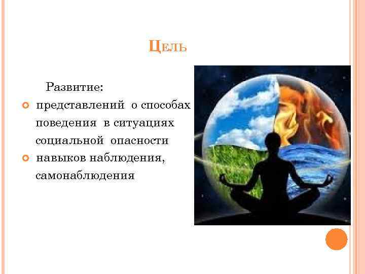 ЦЕЛЬ Развитие: представлений о способах поведения в ситуациях социальной опасности навыков наблюдения, самонаблюдения 