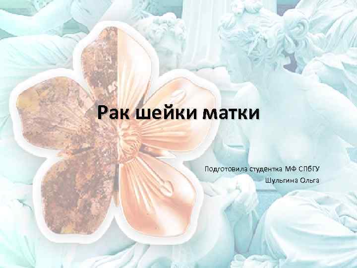 Рак шейки матки Подготовила студентка МФ СПб. ГУ Шульгина Ольга 