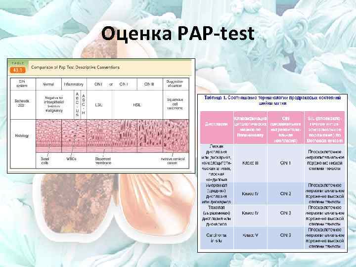 Оценка PAP-test 