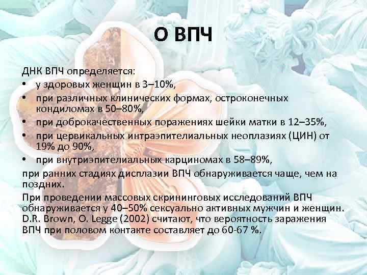 О ВПЧ ДНК ВПЧ определяется: • у здоровых женщин в 3– 10%, • при