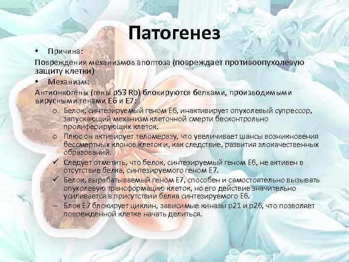 Патогенез • Причина: Повреждения механизмов апоптоза (повреждает противоопухолевую защиту клетки) • Механизм: Антионкогены (гены