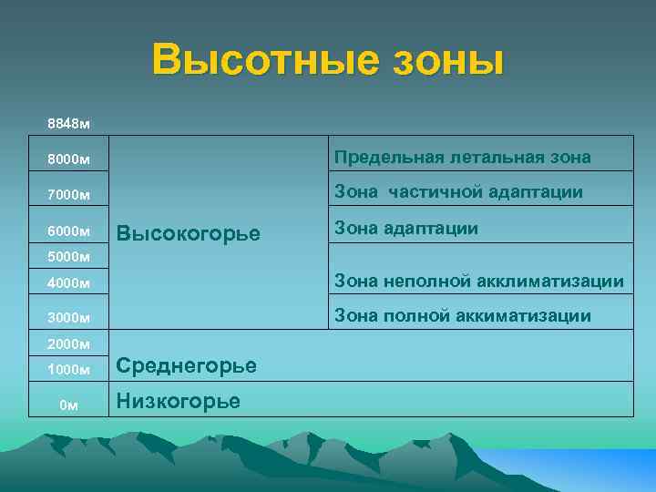 Высотные зоны 8848 м 8000 м Предельная летальная зона 7000 м Зона частичной адаптации