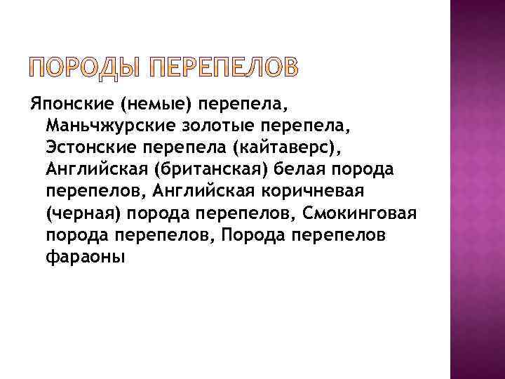 Японские (немые) перепела, Маньчжурские золотые перепела, Эстонские перепела (кайтаверс), Английская (британская) белая порода перепелов,