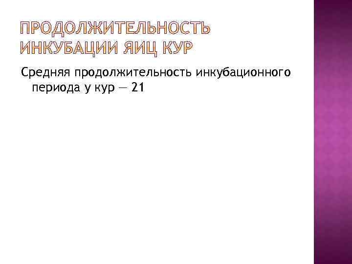 Средняя продолжительность инкубационного периода у кур — 21 