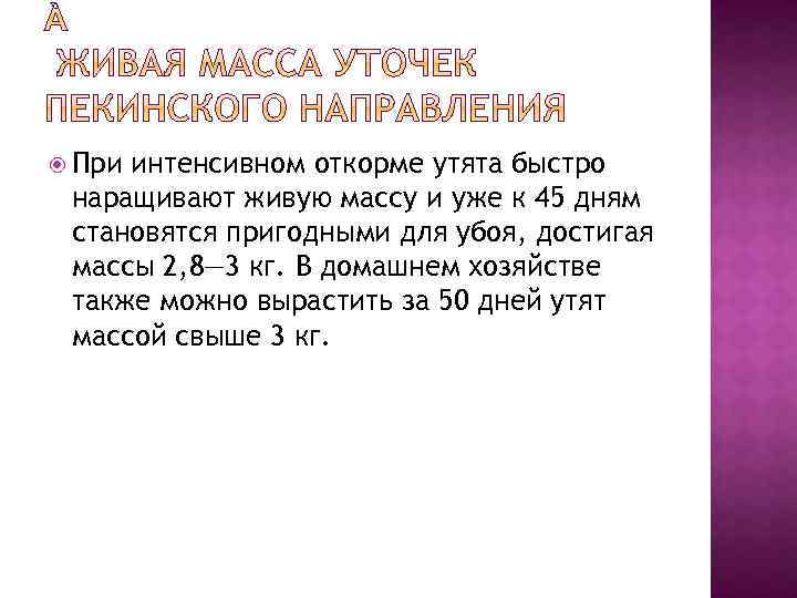  При интенсивном откорме утята быстро наращивают живую массу и уже к 45 дням