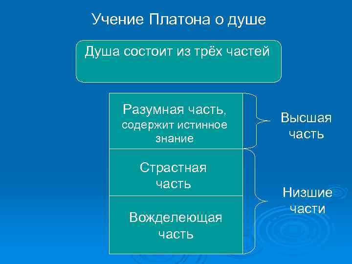 Учение Платона о душе Душа состоит из трёх частей Разумная часть, содержит истинное знание