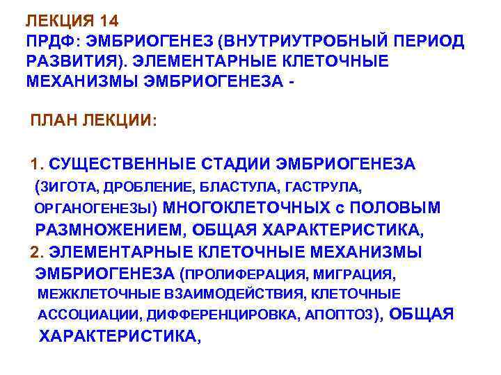 ЛЕКЦИЯ 14 ПРДФ: ЭМБРИОГЕНЕЗ (ВНУТРИУТРОБНЫЙ ПЕРИОД РАЗВИТИЯ). ЭЛЕМЕНТАРНЫЕ КЛЕТОЧНЫЕ МЕХАНИЗМЫ ЭМБРИОГЕНЕЗА ПЛАН ЛЕКЦИИ: 1.