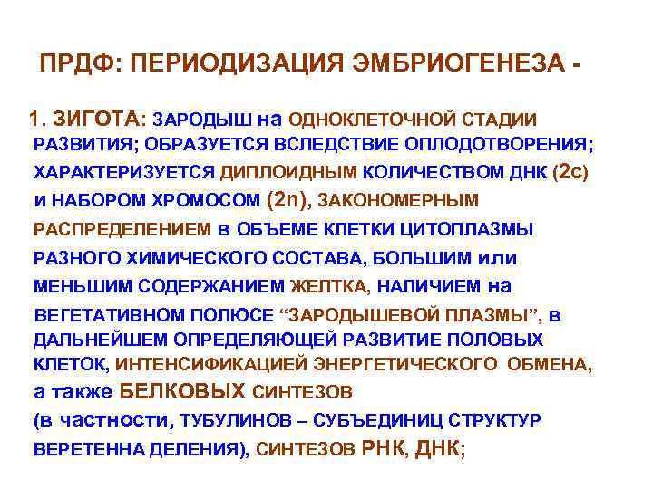 ПРДФ: ПЕРИОДИЗАЦИЯ ЭМБРИОГЕНЕЗА 1. ЗИГОТА: ЗАРОДЫШ на ОДНОКЛЕТОЧНОЙ СТАДИИ РАЗВИТИЯ; ОБРАЗУЕТСЯ ВСЛЕДСТВИЕ ОПЛОДОТВОРЕНИЯ; ХАРАКТЕРИЗУЕТСЯ