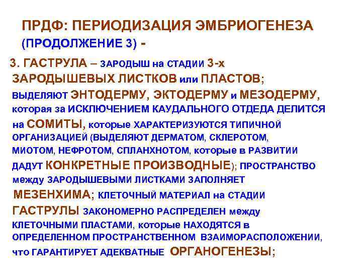 ПРДФ: ПЕРИОДИЗАЦИЯ ЭМБРИОГЕНЕЗА (ПРОДОЛЖЕНИЕ 3) 3. ГАСТРУЛА – ЗАРОДЫШ на СТАДИИ 3 -х ЗАРОДЫШЕВЫХ