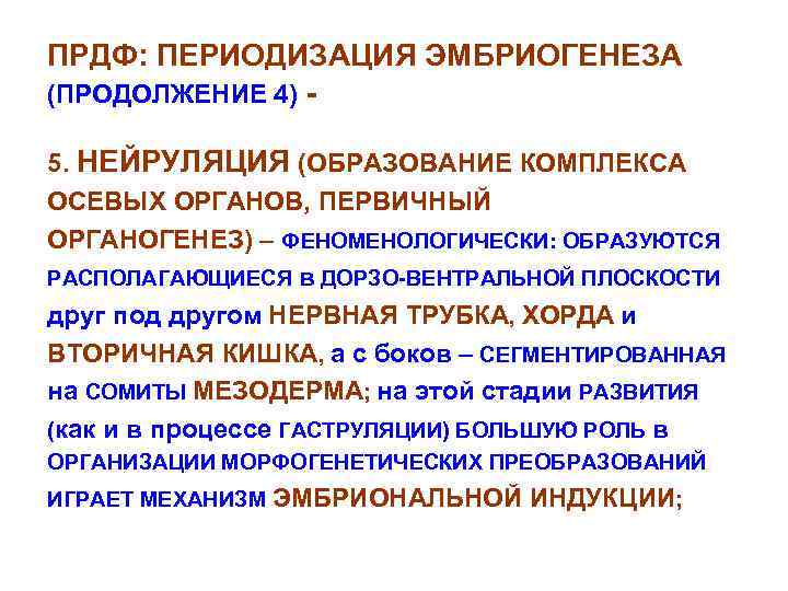 ПРДФ: ПЕРИОДИЗАЦИЯ ЭМБРИОГЕНЕЗА (ПРОДОЛЖЕНИЕ 4) 5. НЕЙРУЛЯЦИЯ (ОБРАЗОВАНИЕ КОМПЛЕКСА ОСЕВЫХ ОРГАНОВ, ПЕРВИЧНЫЙ ОРГАНОГЕНЕЗ) –