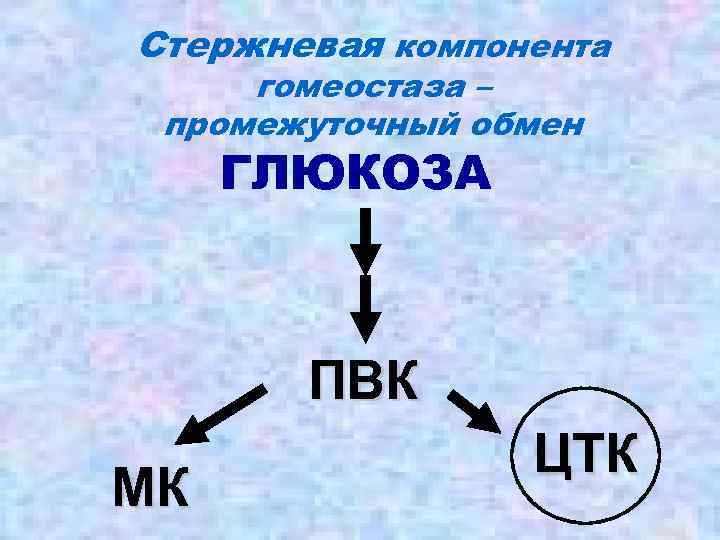 Стержневая компонента гомеостаза – промежуточный обмен ГЛЮКОЗА ПВК МК ЦТК 