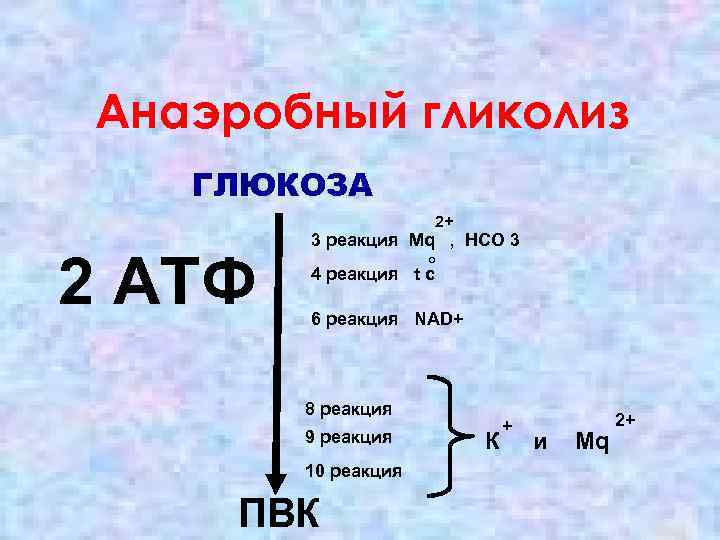 Анаэробный гликолиз