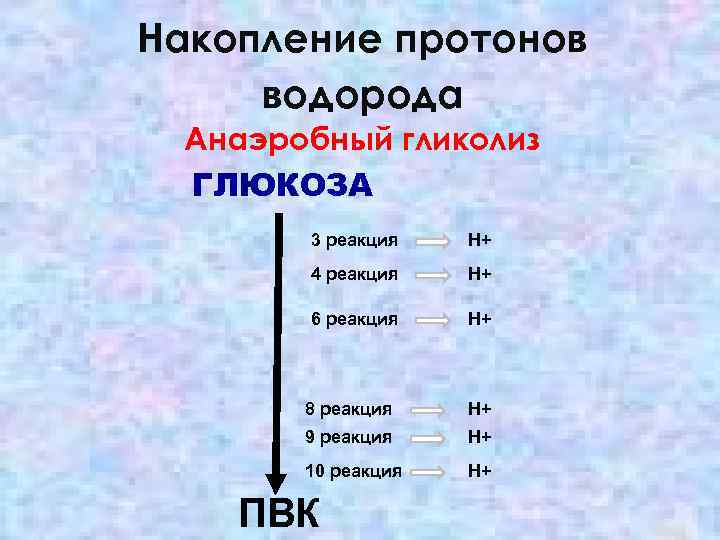 Накопление протонов водорода Анаэробный гликолиз ГЛЮКОЗА 3 реакция Н+ 4 реакция Н+ 6 реакция