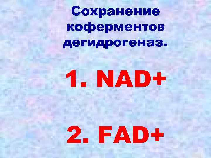 Сохранение коферментов дегидрогеназ. 1. NAD+ 2. FAD+ 