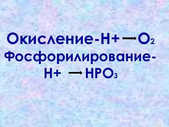 Окисление-Н+ О 2 Фосфорилирование. Н+ НРО 3 