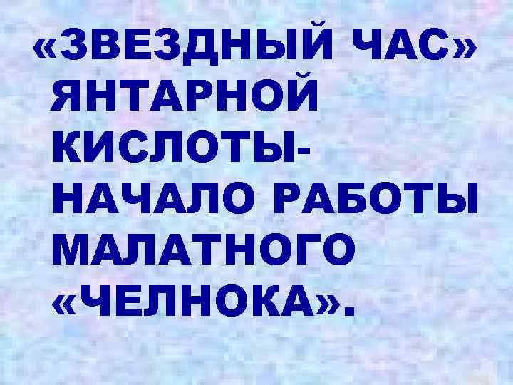  «ЗВЕЗДНЫЙ ЧАС» ЯНТАРНОЙ КИСЛОТЫНАЧАЛО РАБОТЫ МАЛАТНОГО «ЧЕЛНОКА» . 