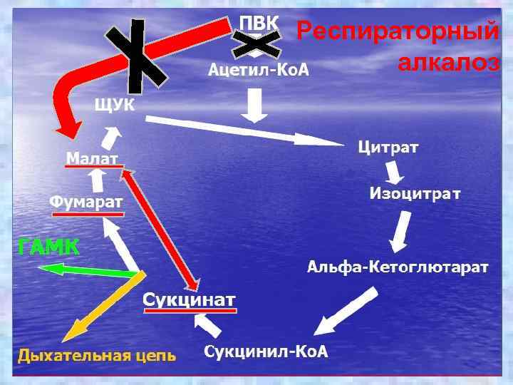 Респираторный алкалоз 