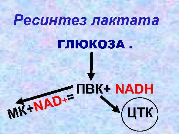 Ресинтез лактата ГЛЮКОЗА. ПВК+ NADH += AD +N ЦТК МК 