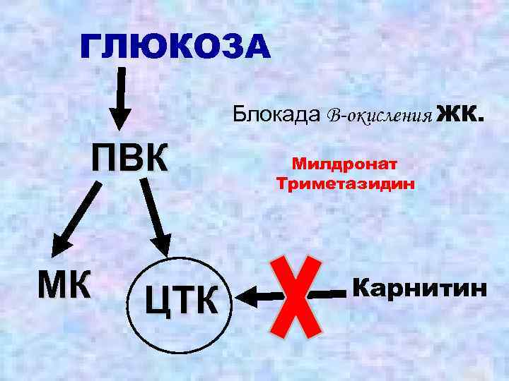 ГЛЮКОЗА Блокада B-окисления ЖК. ПВК МК ЦТК Милдронат Триметазидин Карнитин 