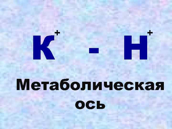 К - Н + + Метаболическая ось 