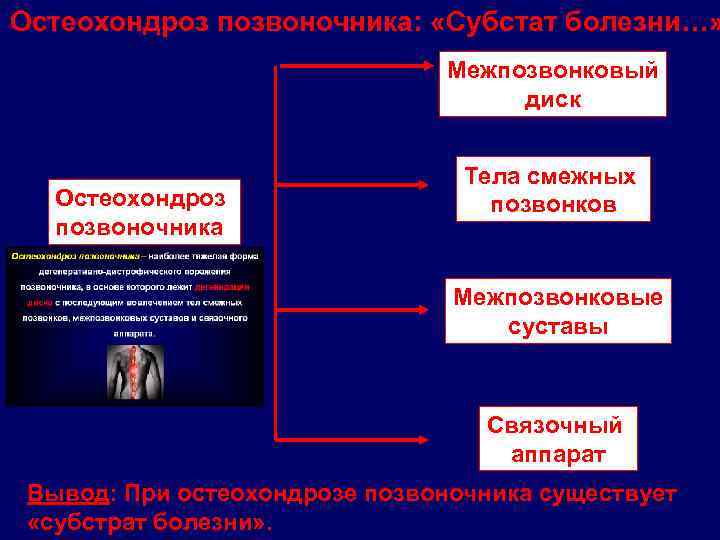 Остеохондроз позвоночника: «Субстат болезни…» Межпозвонковый диск Остеохондроз позвоночника Тела смежных позвонков Межпозвонковые суставы Связочный