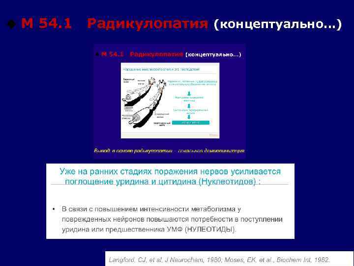 u М 54. 1 Радикулопатия (концептуально…) 
