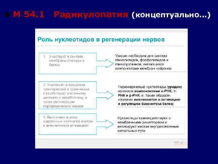 u М 54. 1 Радикулопатия (концептуально…) 