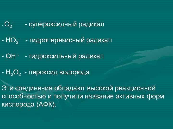 - О 2 - - супероксидный радикал - НО 2 - - гидроперекисный радикал