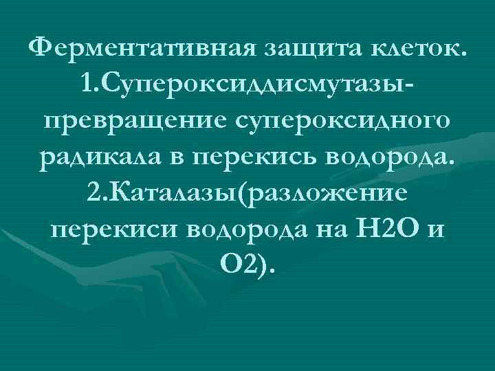 Ферментативная защита клеток. 1. Супероксиддисмутазыпревращение супероксидного радикала в перекись водорода. 2. Каталазы(разложение перекиси водорода