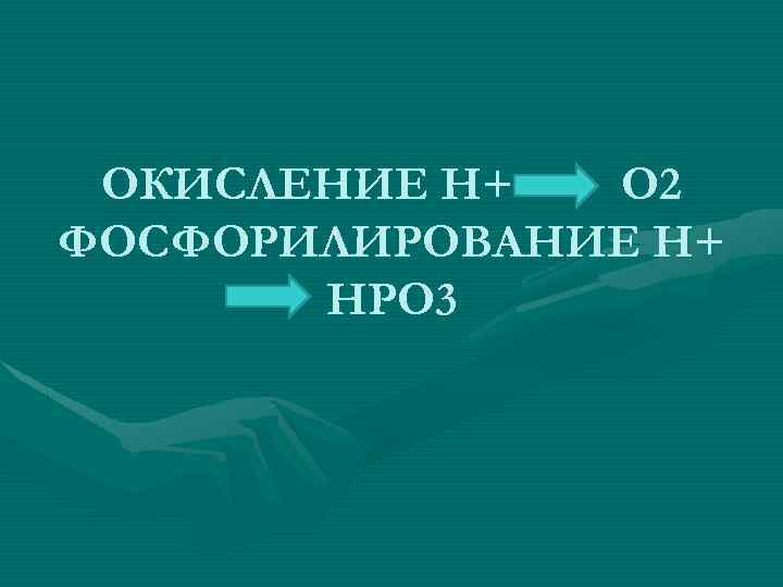 ОКИСЛЕНИЕ Н+ О 2 ФОСФОРИЛИРОВАНИЕ Н+ НРО 3 