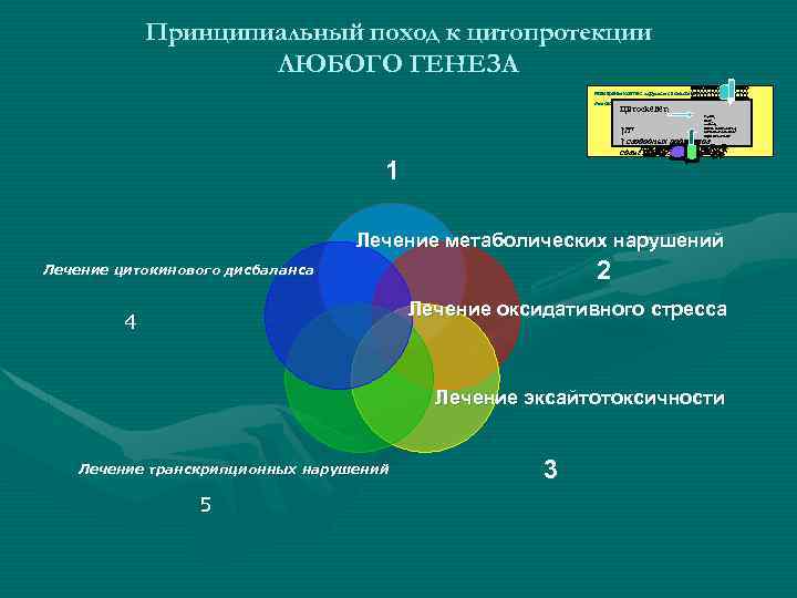 Принципиальный поход к цитопротекции ЛЮБОГО ГЕНЕЗА Мембраны клеток: нарушение композиции липидного слоя мембран Цитоскелет: