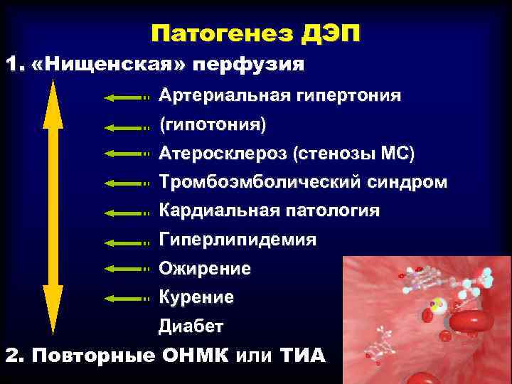 Патогенез ДЭП 1. «Нищенская» перфузия Артериальная гипертония (гипотония) Атеросклероз (стенозы МС) Тромбоэмболический синдром Кардиальная