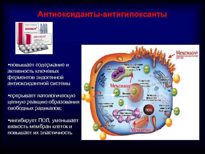 Антиоксиданты-антигипоксанты §повышает содержание и активность ключевых ферментов эндогенной антиоксидантной системы §прерывает патологическую цепную реакцию