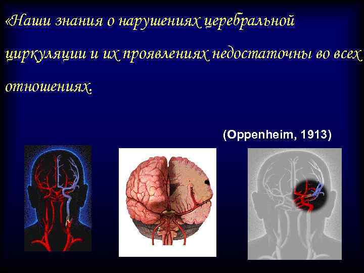  «Наши знания о нарушениях церебральной циркуляции и их проявлениях недостаточны во всех отношениях.