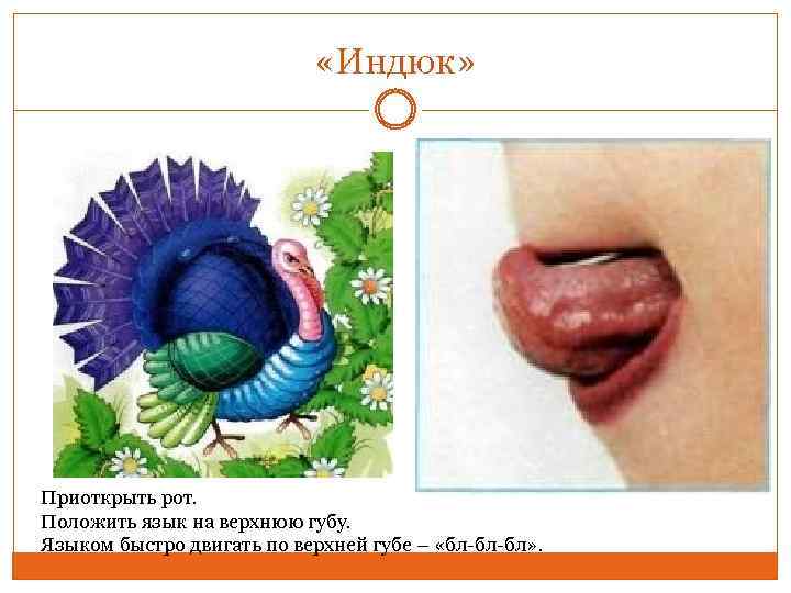  «Индюк» Приоткрыть рот. Положить язык на верхнюю губу. Языком быстро двигать по верхней